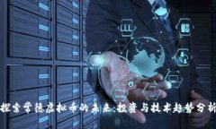 探索常德虚拟币的未来：投资与技术趋