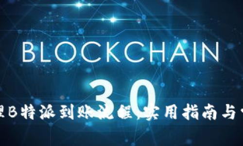 如何高效管理B特派到账流程:实用指南与常见问题解答