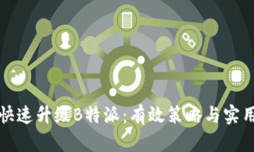 如何快速升级B特派:有效策略与实用技巧