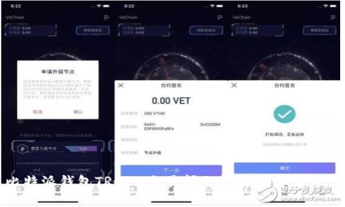 比特派钱包TRC20交易问题详解与解决方案