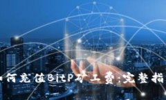 如何充值BitP矿工费：完整指南