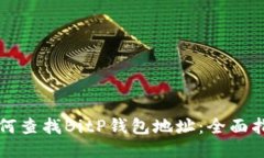 如何查找BitP钱包地址：全面指南