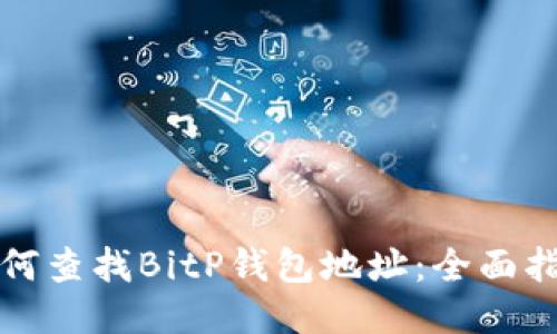 如何查找BitP钱包地址:全面指南