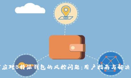 如何应对B特派钱包的风控问题:用户指南与解决方案