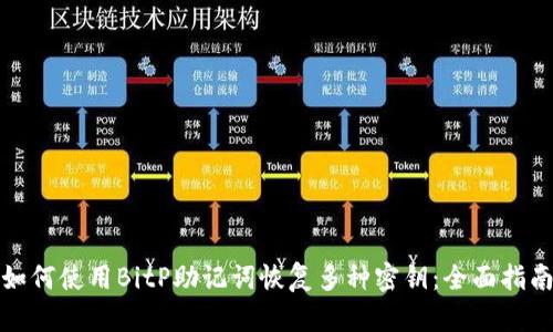 如何使用BitP助记词恢复多种密钥:全面指南