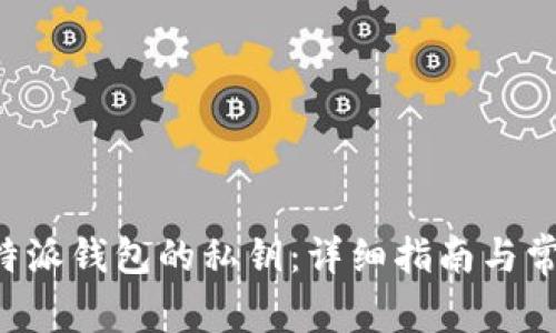 如何导出B特派钱包的私钥:详细指南与常见问题解答