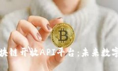 深入探讨区块链开放API平台：未来数字