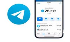 BitP钱包转账失败的原因及解决办法