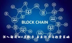 深入解析WX虚拟币：未来潜力与投资策