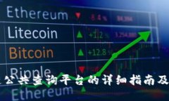 区块链公共查询平台的详细指南及其应
