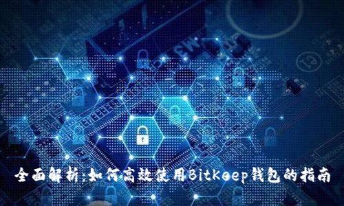 全面解析:如何高效使用BitKeep钱包的指南
