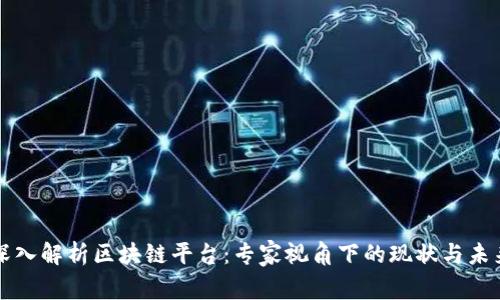 深入解析区块链平台:专家视角下的现状与未来