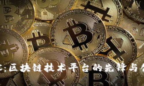 BIC:区块链技术平台的先锋与创新