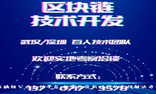 区块链公共支付平台:数字经济新时代的支付解决方案