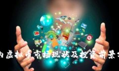 国内虚拟币市场现状及投资前景分析