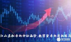 揭开江山虚拟币的神秘面纱：数字货币