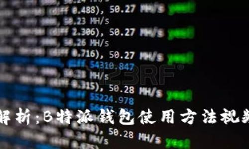 详细解析:B特派钱包使用方法视频教程