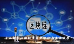 全面解析区块链平台的现状与未来发展