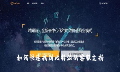 如何快速找到比特派的客服支持
