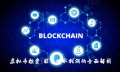 虚拟币投资：能否赚取利润的全面解析