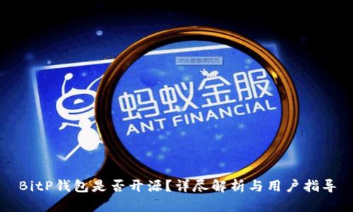 BitP钱包是否开源?详尽解析与用户指导
