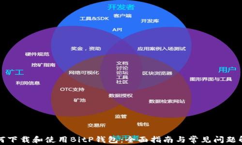 
如何下载和使用BitP钱包：全面指南与常见问题解答