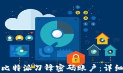 如何设置比特派刀锋密码账户：详细步