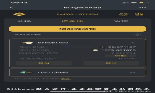 Bitkeep新币发行:未来数字货币的新纪元