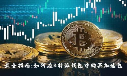 最全指南:如何在B特派钱包中购买加速包