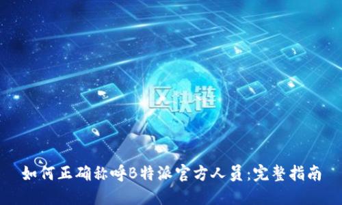 如何正确称呼B特派官方人员:完整指南