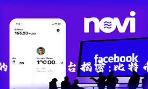 : 全球最早的区块链平台揭密:比特币的前世今生
