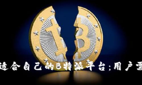 如何选择适合自己的B特派平台:用户需求与指南