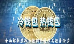 全面解析虚拟币投掷渠道及其投资潜力