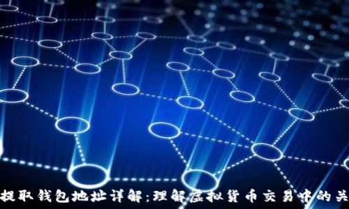 虚拟币提取钱包地址详解:理解虚拟货币交易中的关键概念