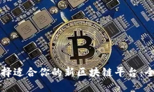 如何选择适合你的新区块链平台：全面指南