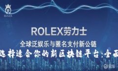 如何选择适合你的新区块链平台：全面