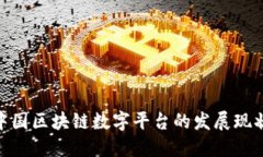 : 深入探讨中国区块链数字平台的发展