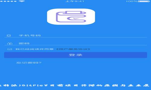 比特派（BitPie）目前项目停滞的原因与未来展望