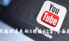 如何找回丢失的B特派12字：全面指南