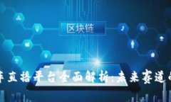区块链赛车直播平台全面解析：未来赛
