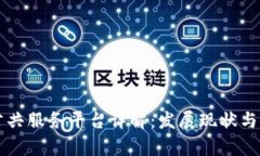 区块链公共服务平台详解：发展现状与