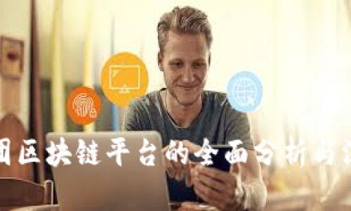 联投集团区块链平台的全面分析与深度探讨