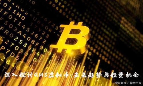 深入探讨GMS虚拟币:未来趋势与投资机会
