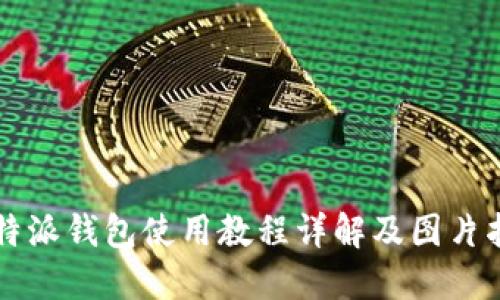 比特派钱包使用教程详解及图片指导