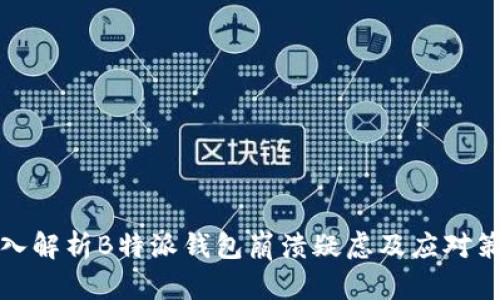 深入解析B特派钱包崩溃疑虑及应对策略