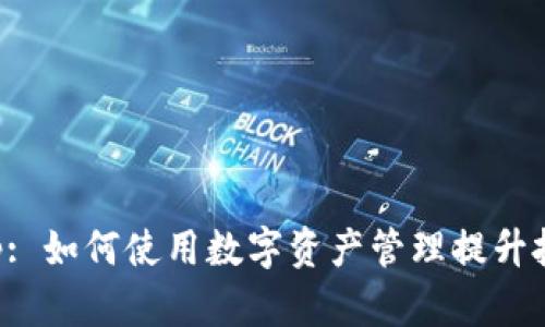 BitPapp: 如何使用数字资产管理提升投资效率
