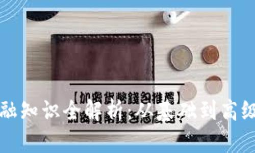 虚拟币金融知识全解析：从基础到高级投资策略