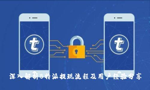 深入解析B特派提现流程及用户经验分享