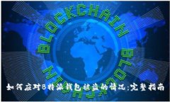 如何应对B特派钱包被盗的情况：完整