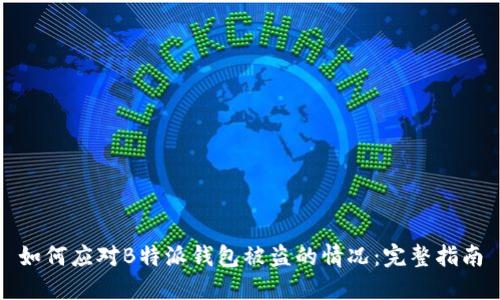 如何应对B特派钱包被盗的情况:完整指南